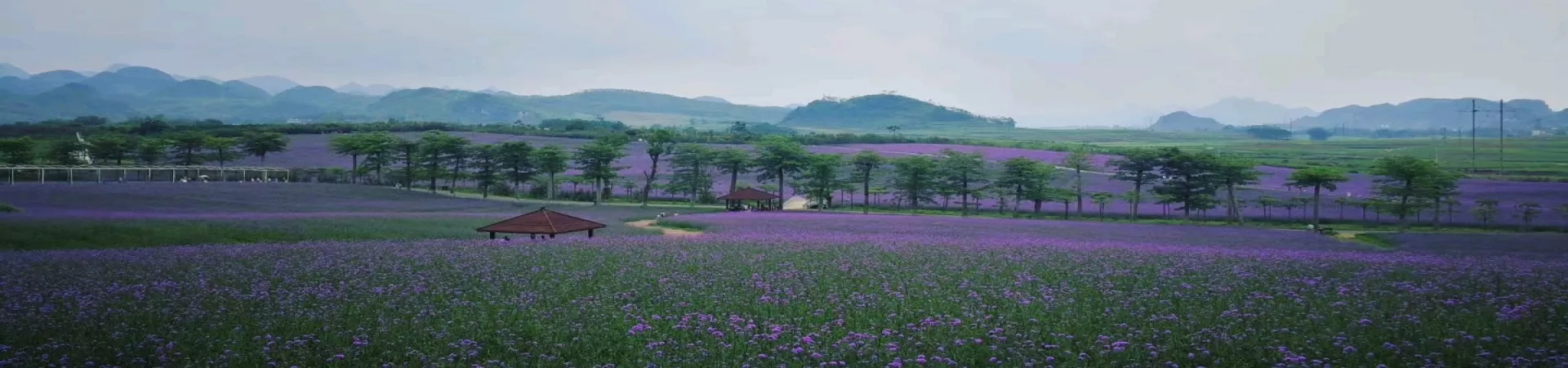 Top China Guide banner