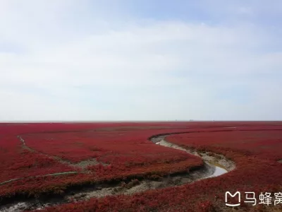 Xingcheng Red Beach