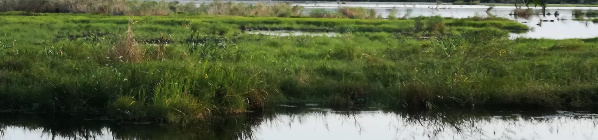 Top China Guide banner