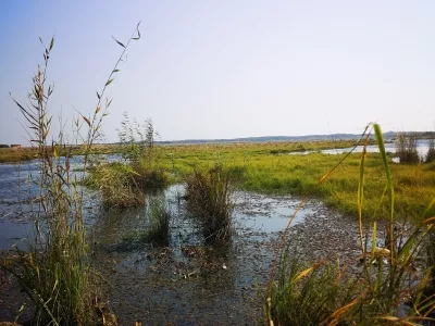 Xingkai Lake New Kailiu Scenic Area