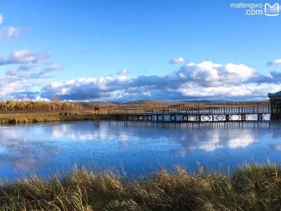 Xinqing Wetland Park