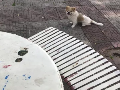 xinyang normal university 