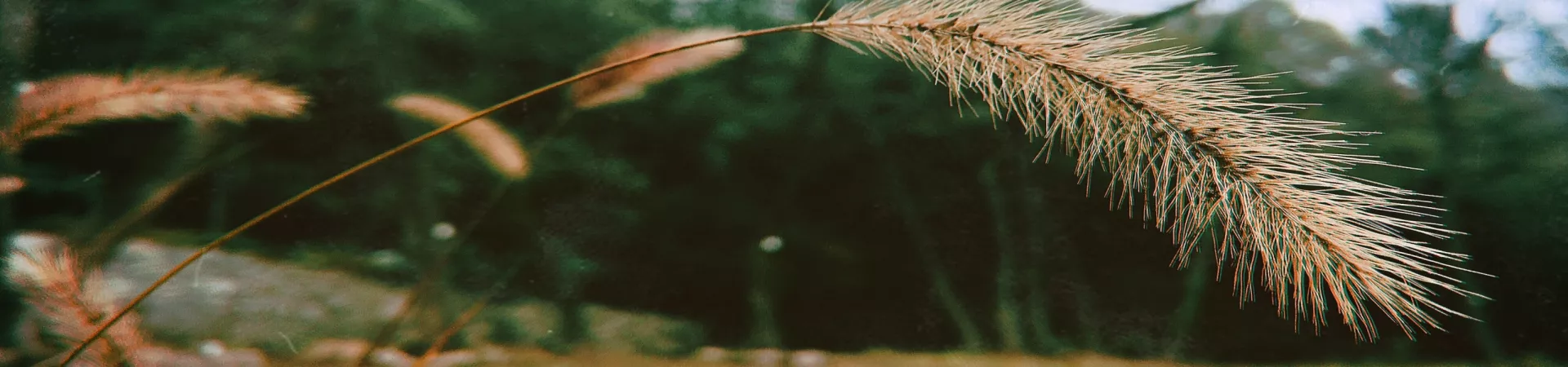 Top China Guide banner