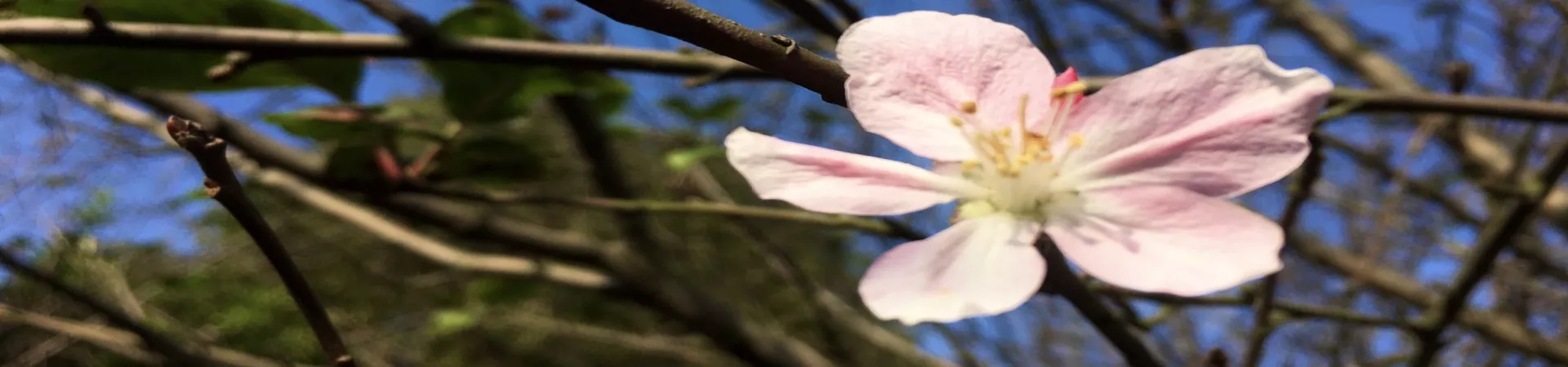 Top China Guide banner