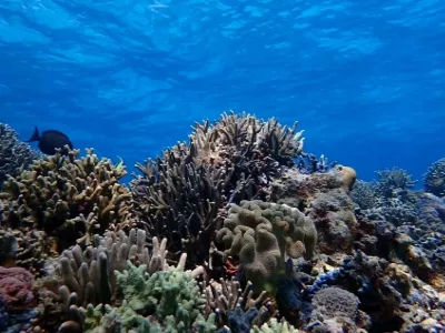 North Island, the Xisha Islands