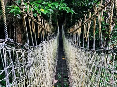 Xishuangbanna Rainforest Valley