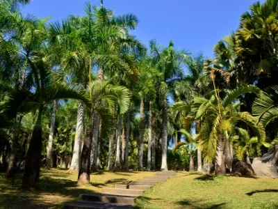 Xishuangbanna Tropical Flower Garden 