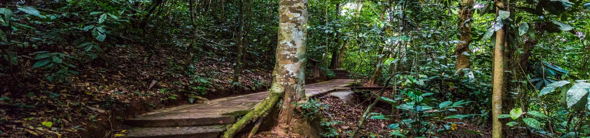 Top China Guide banner