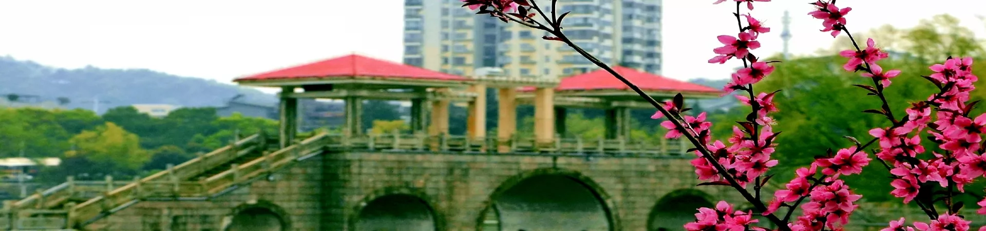 Top China Guide banner