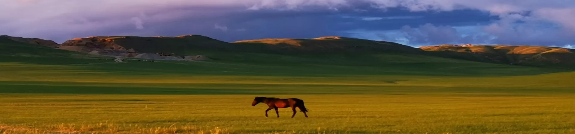 Top China Guide banner