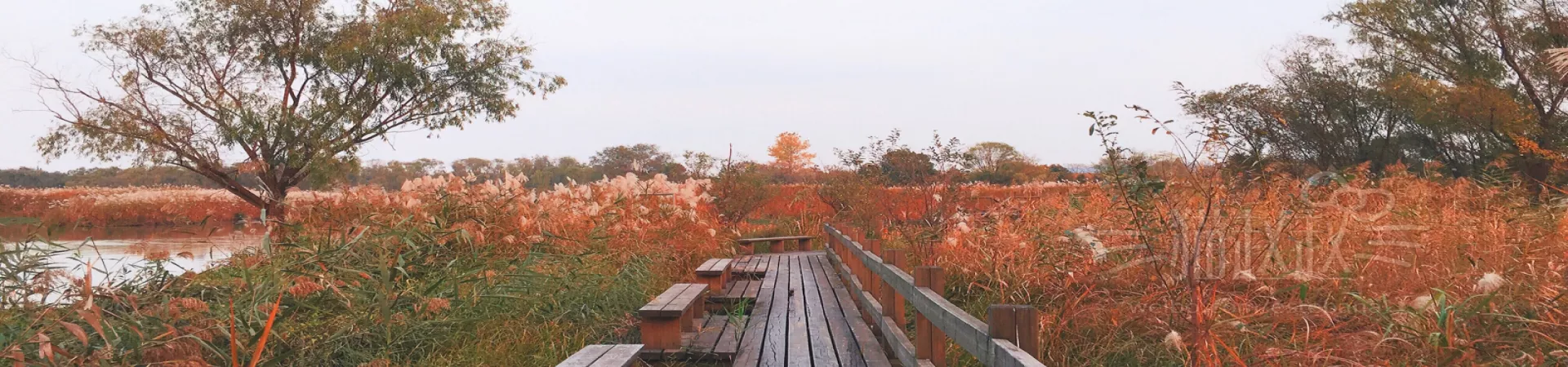 Top China Guide banner