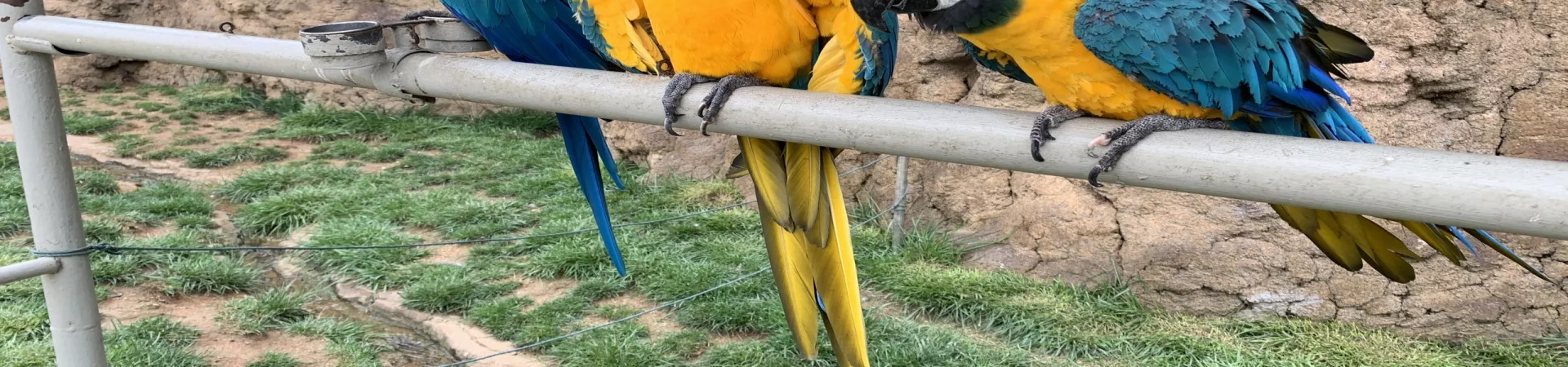 Top China Guide banner