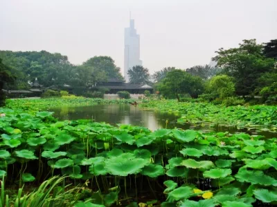 Xuanwu Lake Park