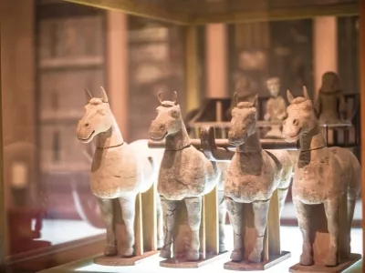 Xuzhou Han Terra Cotta Warriors Museum