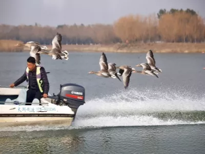 Yancheng Dazonghu Tourist Resort