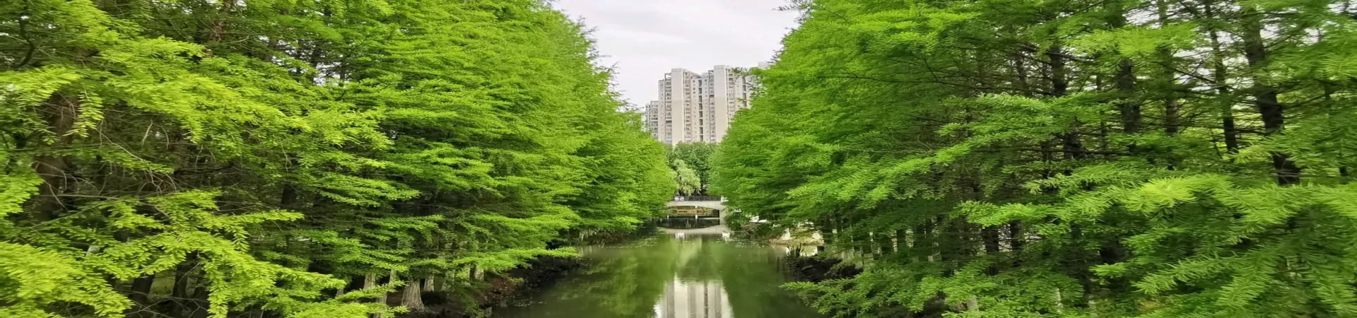 Top China Guide banner