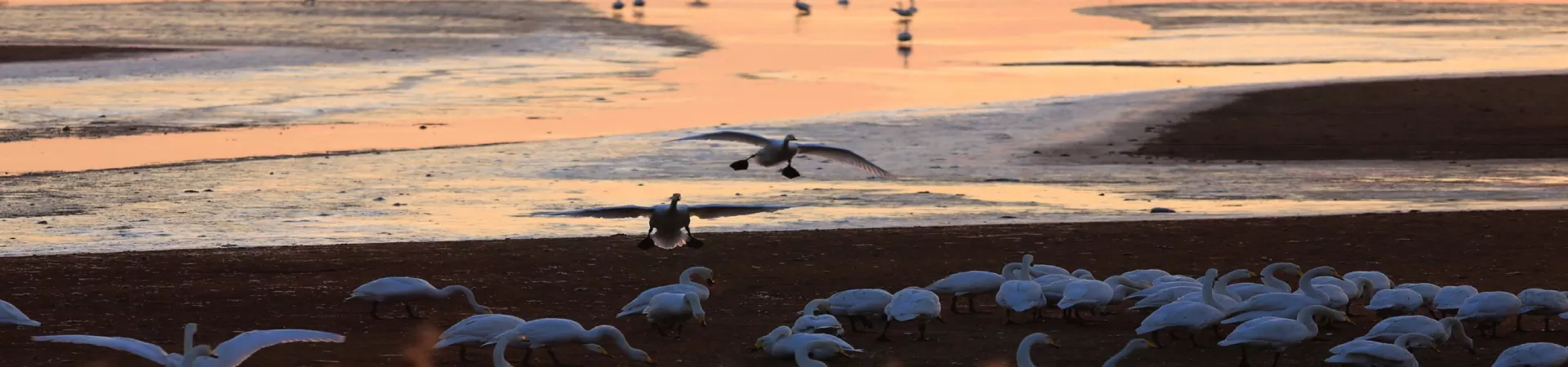 Top China Guide banner