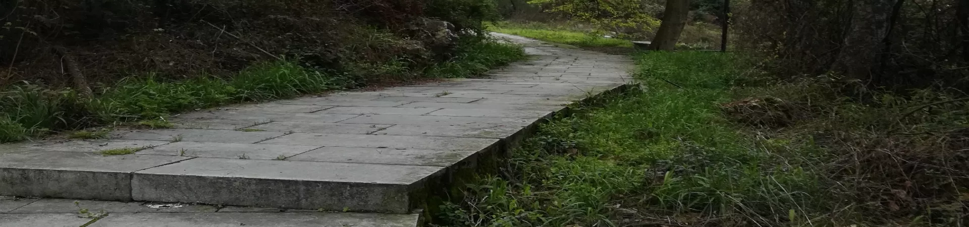 Top China Guide banner