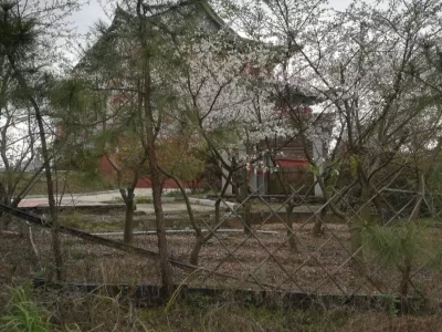 Yangtiangang Forest Park