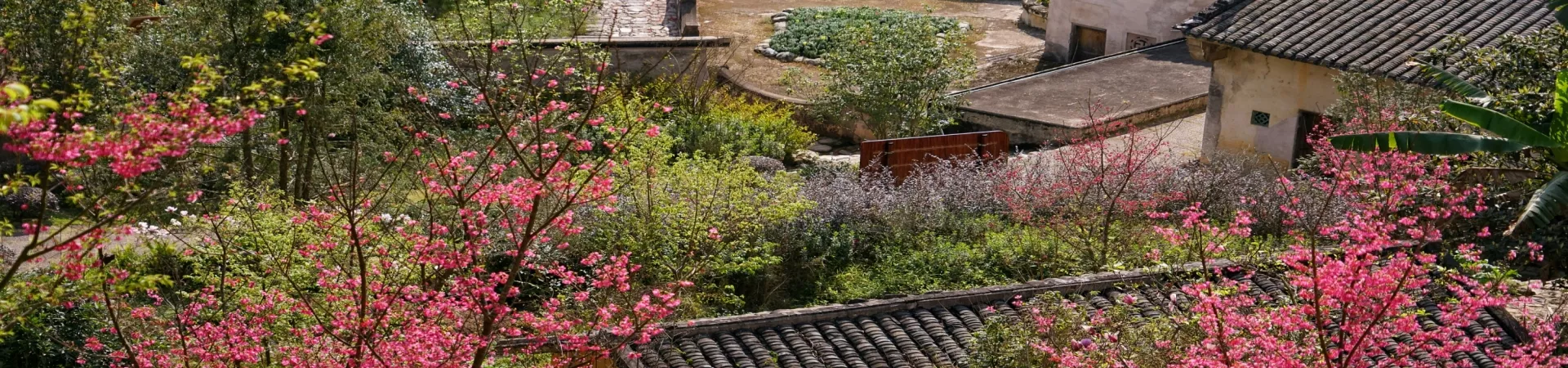 Top China Guide banner