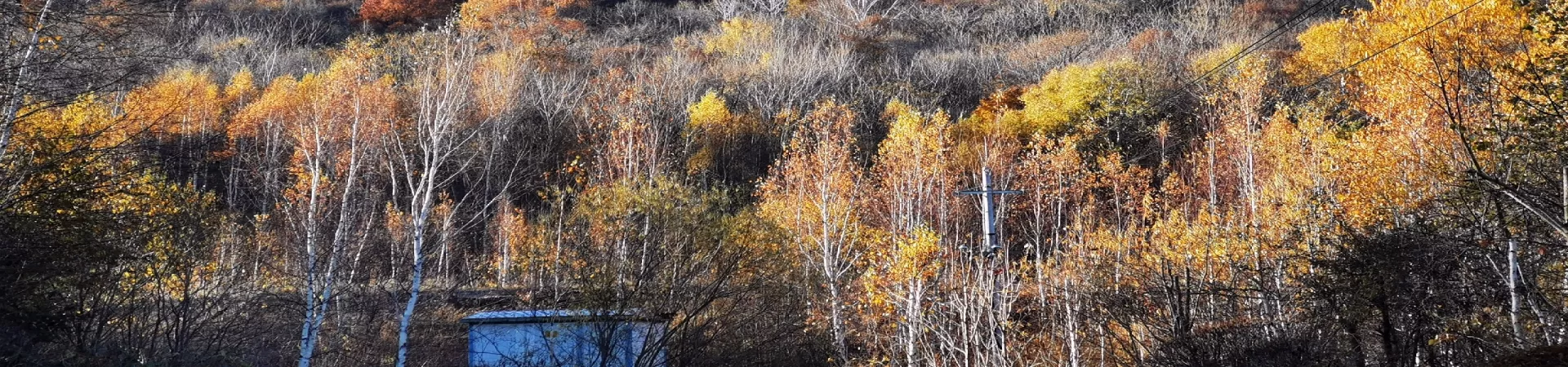 Top China Guide banner