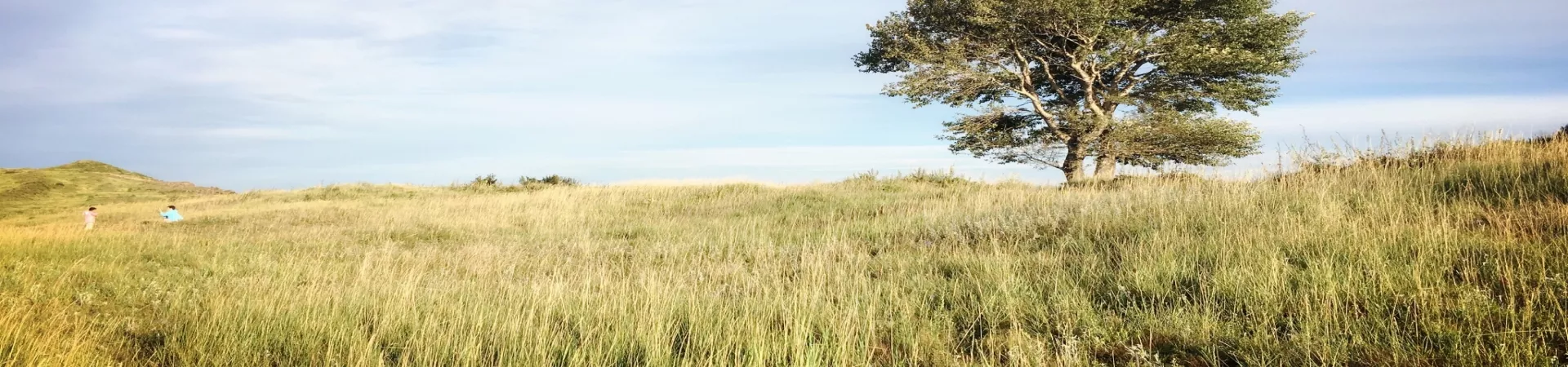 Top China Guide banner