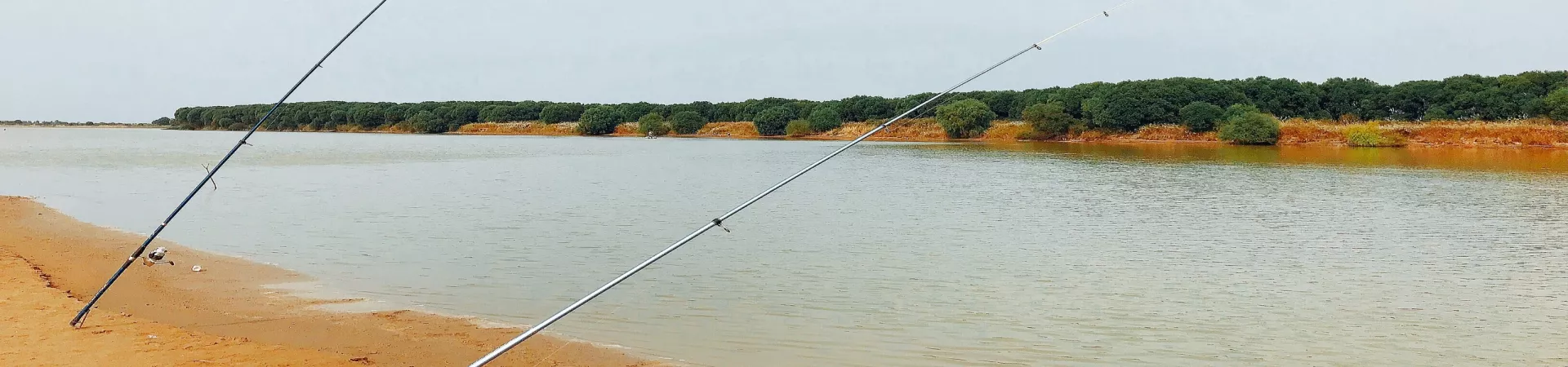 Top China Guide banner