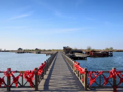 The estuary of the Yellow River