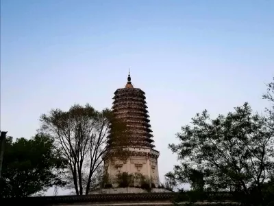 Yingang Academy