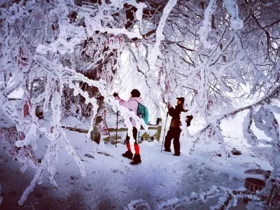 Yintai Mountain Park