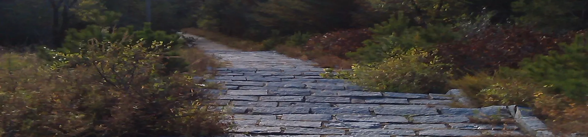 Top China Guide banner