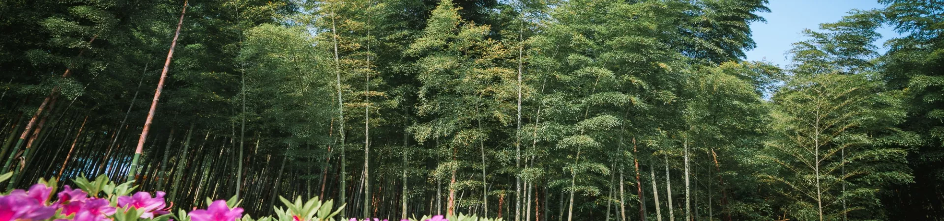 Top China Guide banner