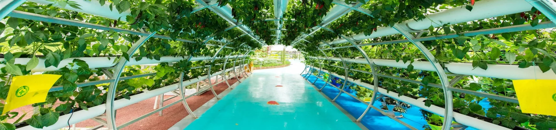 Top China Guide banner