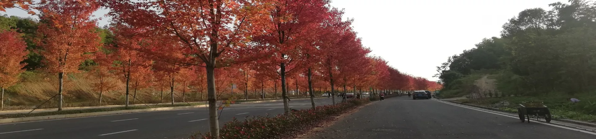 Top China Guide banner