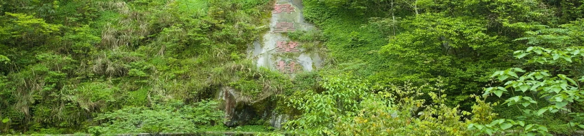 Top China Guide banner