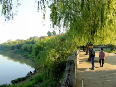 Yuanjiang Dongting Lake