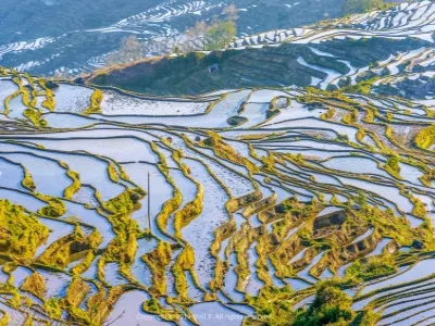 Yuanyang Hani Terrace