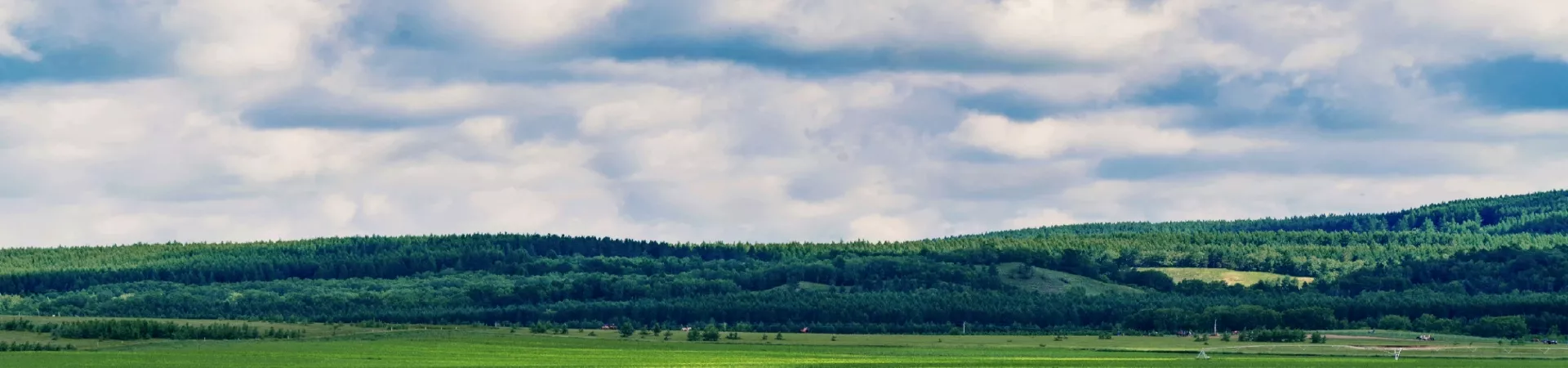 Top China Guide banner