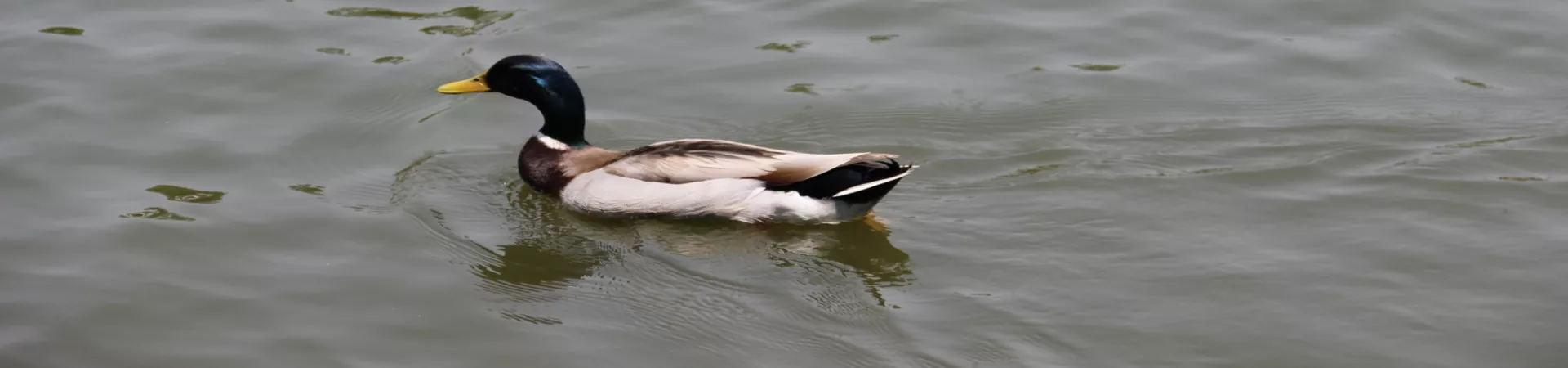 Top China Guide banner