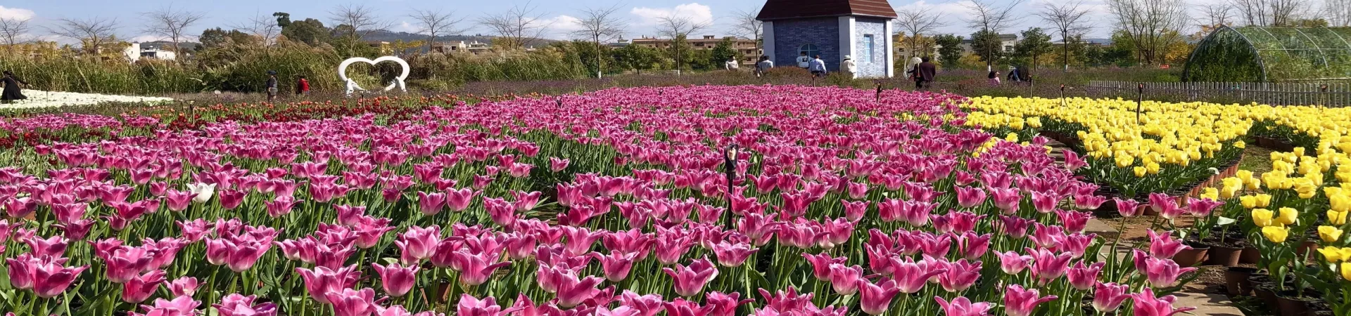 Top China Guide banner