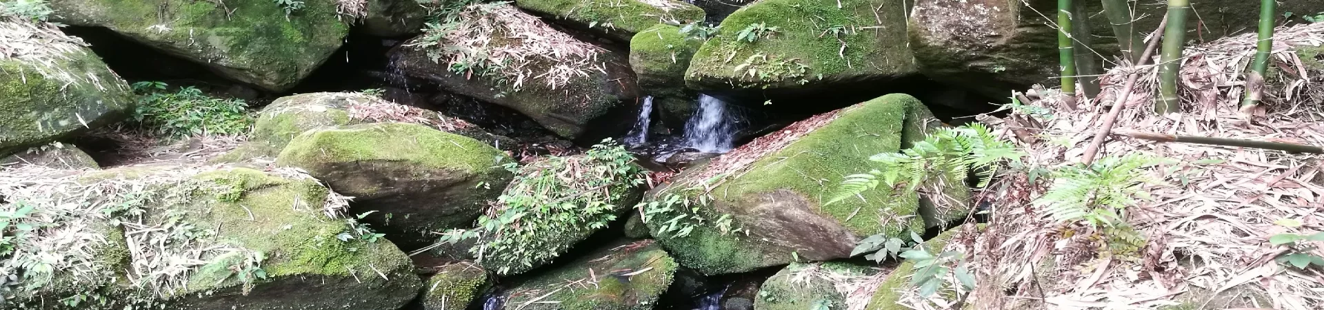 Top China Guide banner