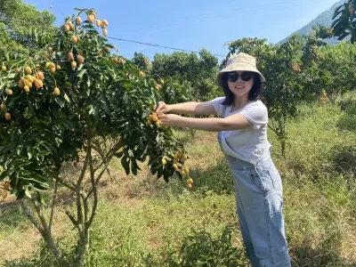 Yunfu Green Mountains, Green Waters, and Hot Springs