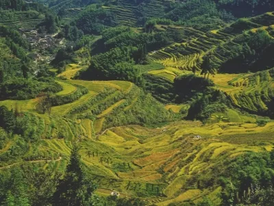 Yunhe Terraced Field Scenic Area