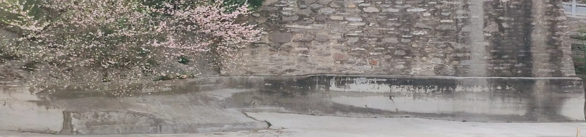 Top China Guide banner