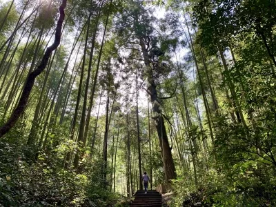 Zhaixia Grand Canyon