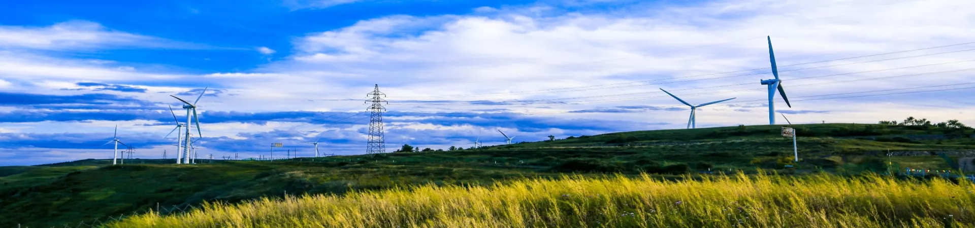 Top China Guide banner