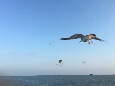 Zhangdao Island