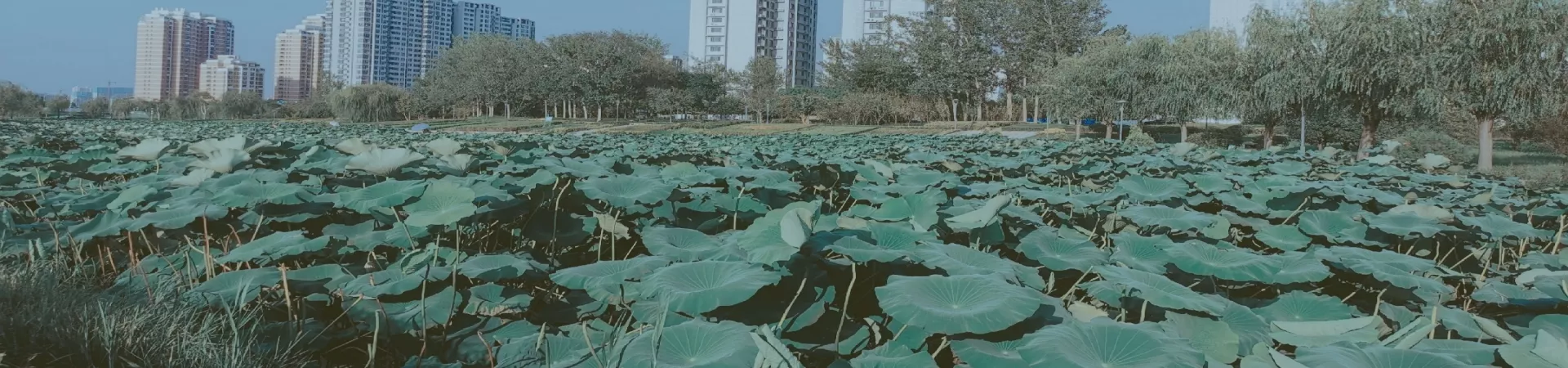 Top China Guide banner