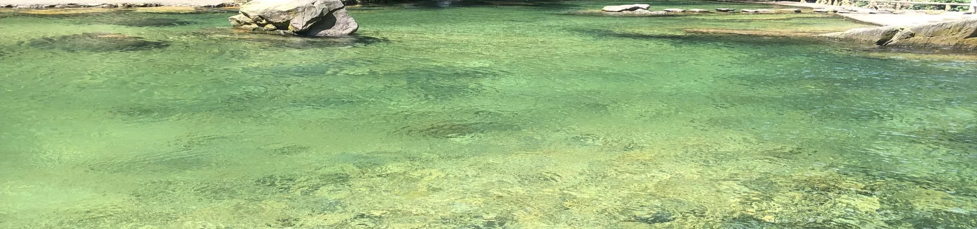 Top China Guide banner