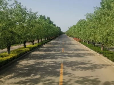 Puyang Zhengbanqiao Memorial Hall